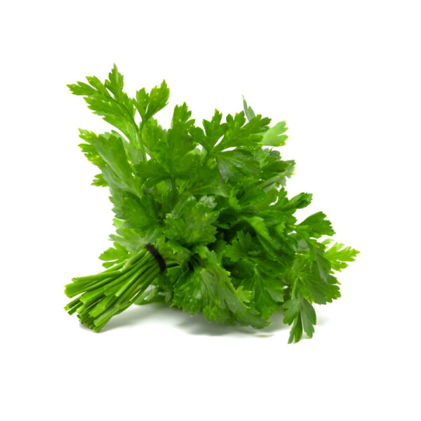 Parsley - வோக்கோசு