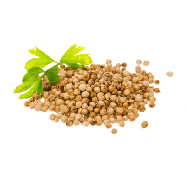 CORIANDER SEEDS - மல்லி