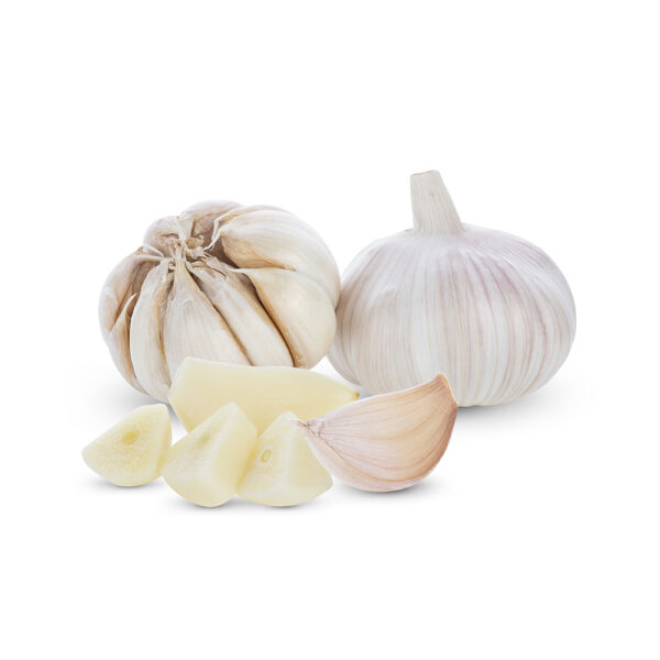 GARLIC - பூண்டு