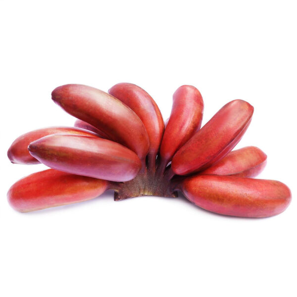 RED BANANA - செவ்வாழை