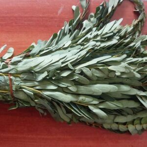 AGATHI KEERAI - அகத்தி கீரை