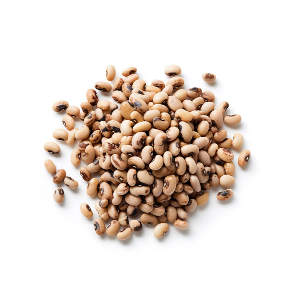 Cowpea