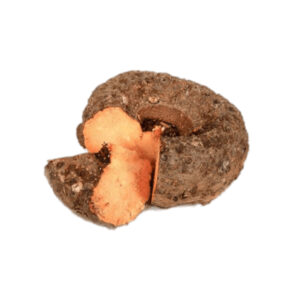 ELEPHANT FOOT YAM- கருணை கிழங்கு