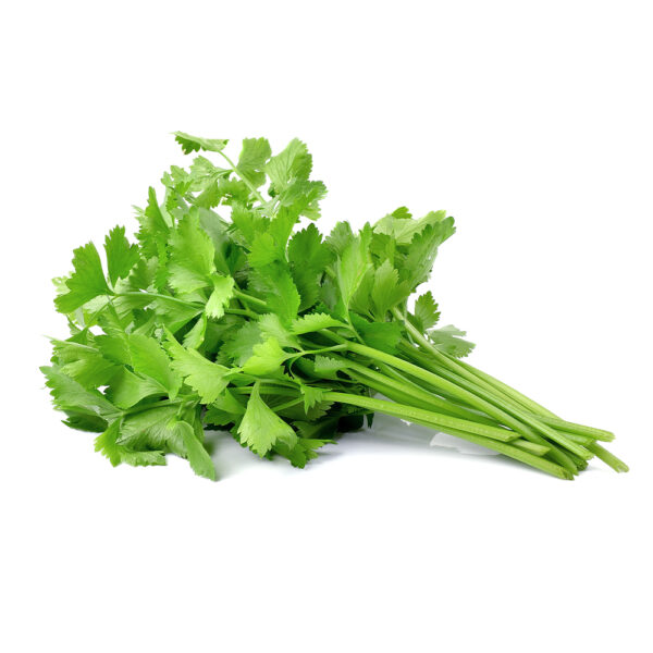 Coriander leaf