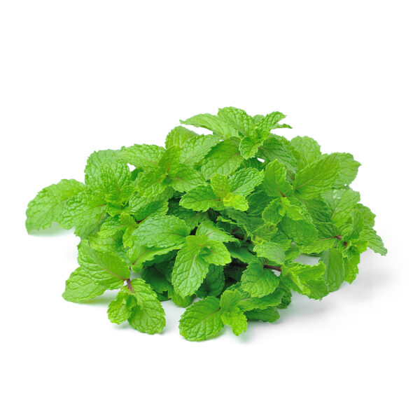 Mint