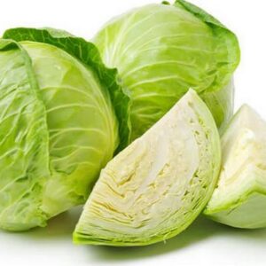 CABBAGE - முட்டைக்கோஸ்