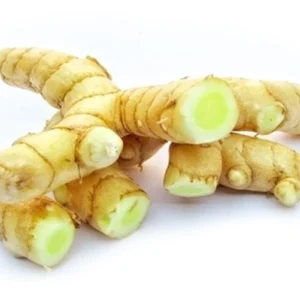 MANGO GINGER - மாங்காய் இஞ்சி