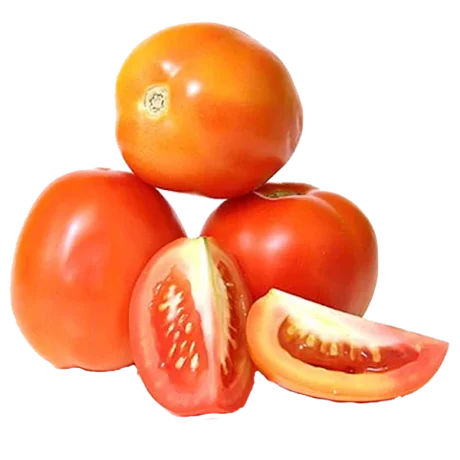 HYBRID TOMATO - ஹைப்ரிட் தக்காளி