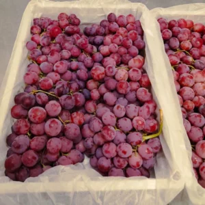 RED GLOBES GRAPES  - சிவப்பு குளோப் திராட்சை