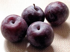IMPORTED PLUM - கொத்துப்பேரி