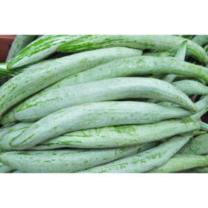 SNAKE GOURD - புடலங்காய்