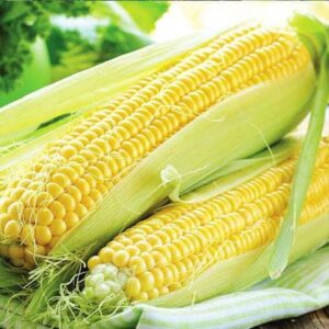 SWEET CORN-ஸ்வீட் கார்ன் (2)